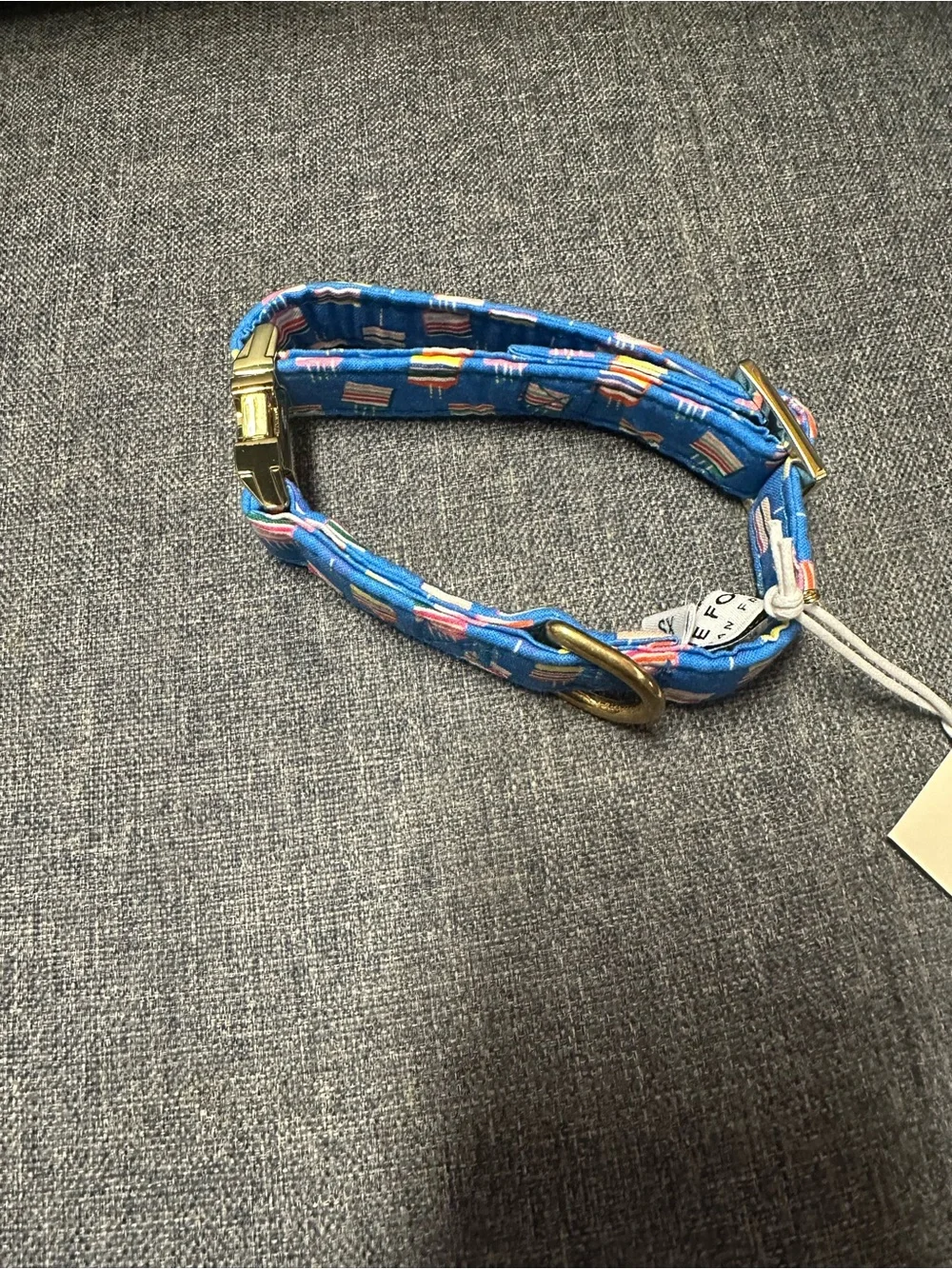 The Foggy Dog Make A Wish Birthday Dog Collar